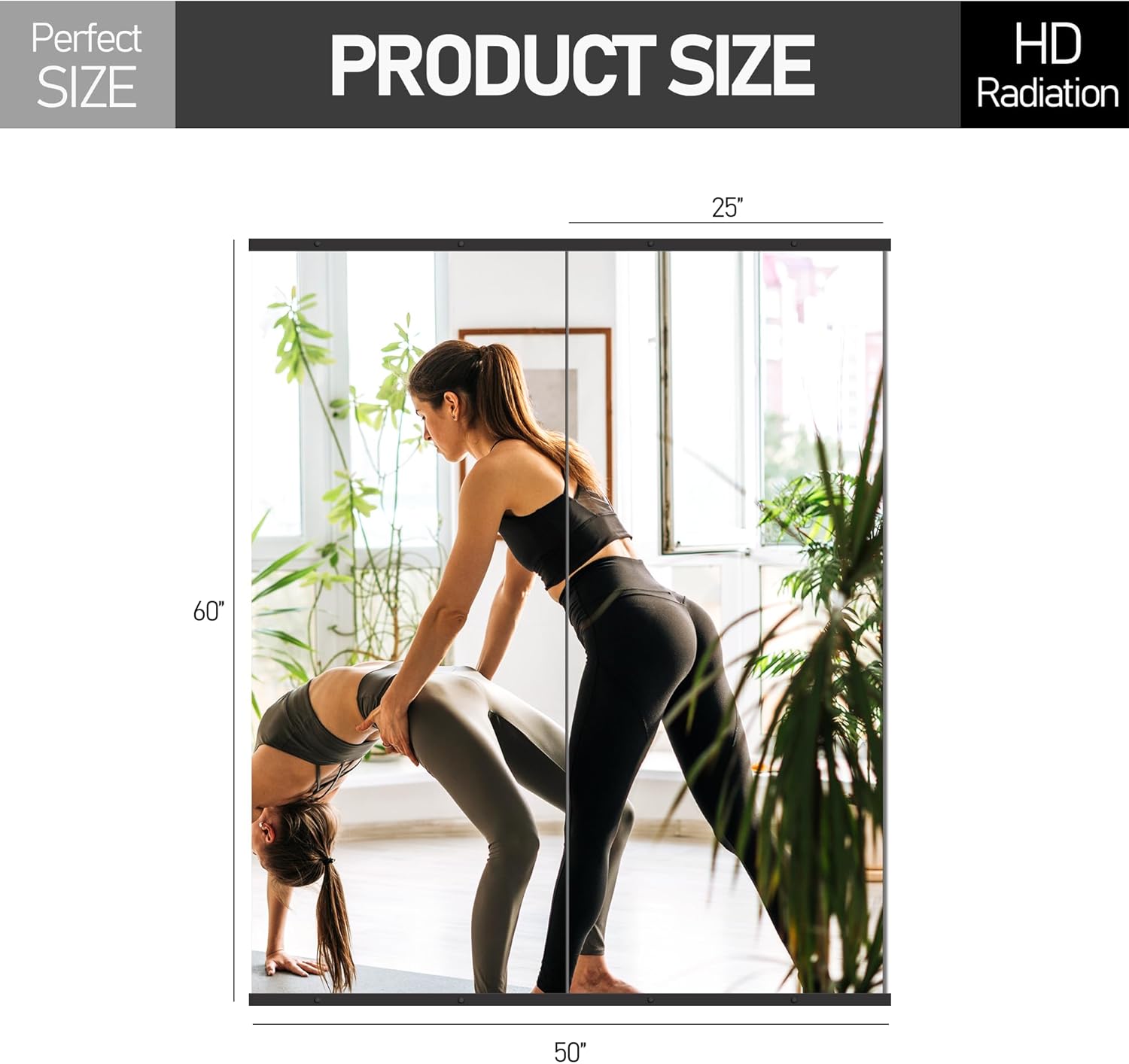 Pulse Gears Smart Home Gym Mirror